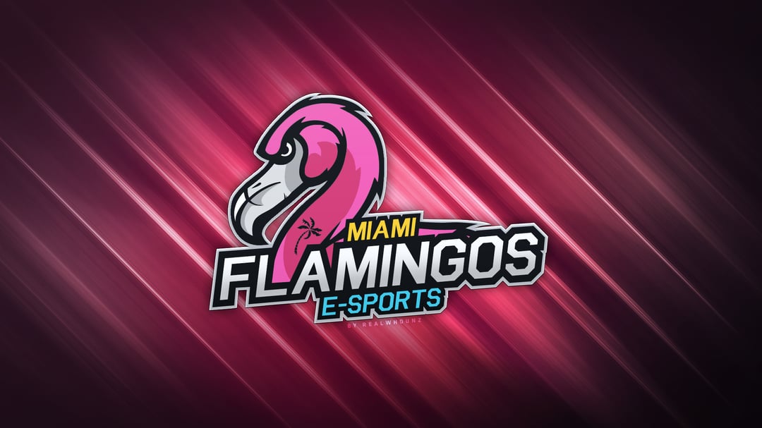 Miami Flamingos Wallpaper - By RealwhOunz