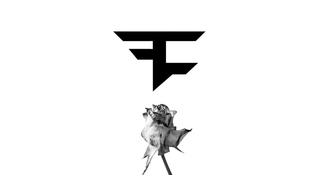 Faze Clan Rose