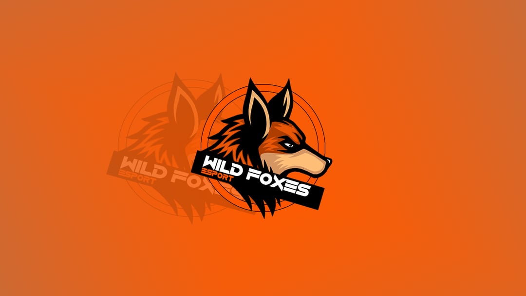Wild Foxes Esport