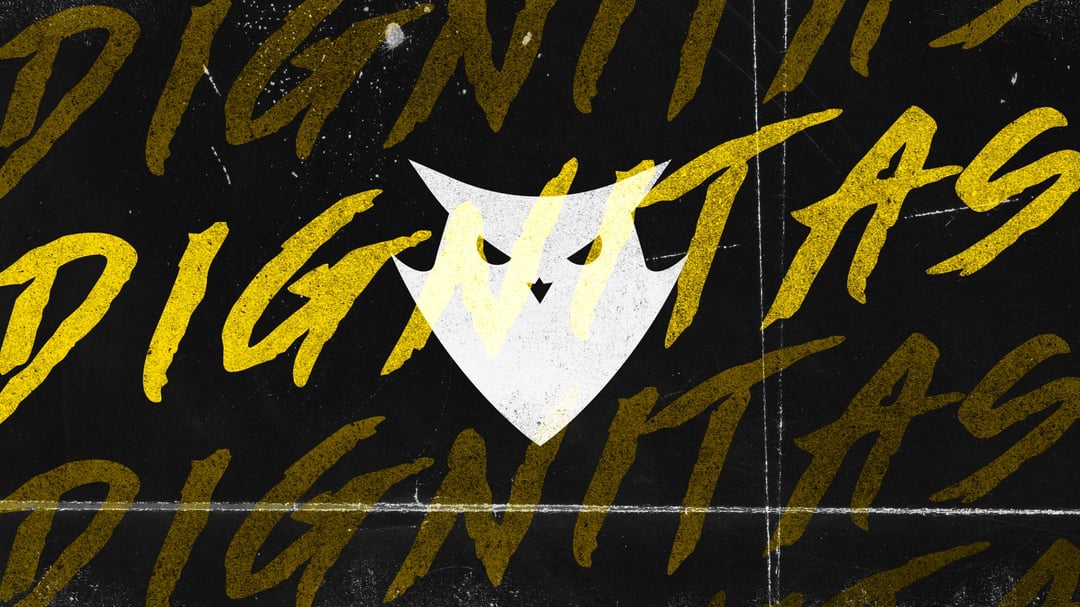 Dignitas 2020