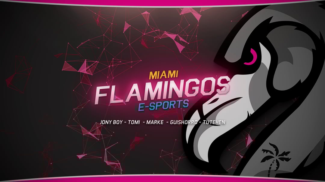 Miami Flamingos