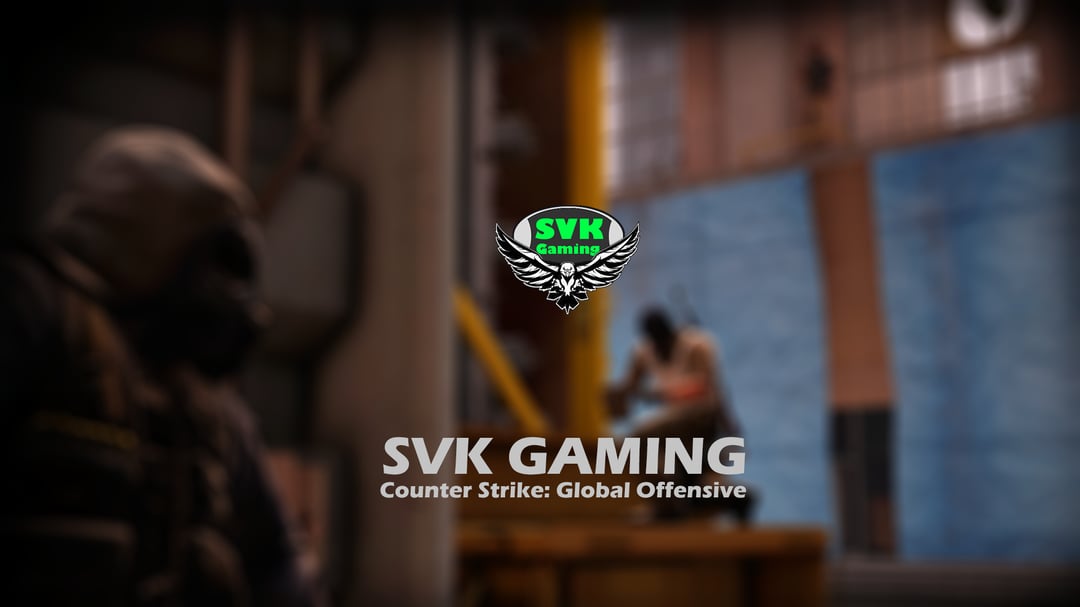 SVK Gaming