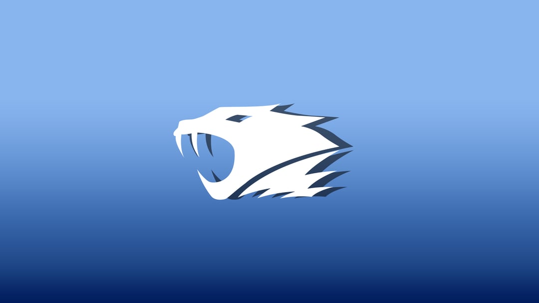 IBP reflection