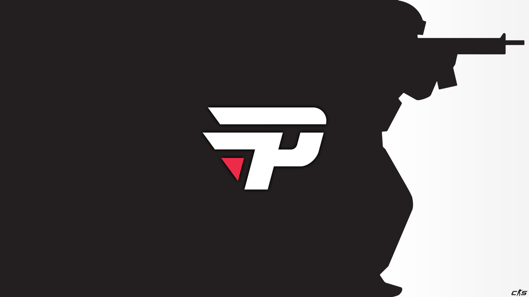 CS2 - Pain V1