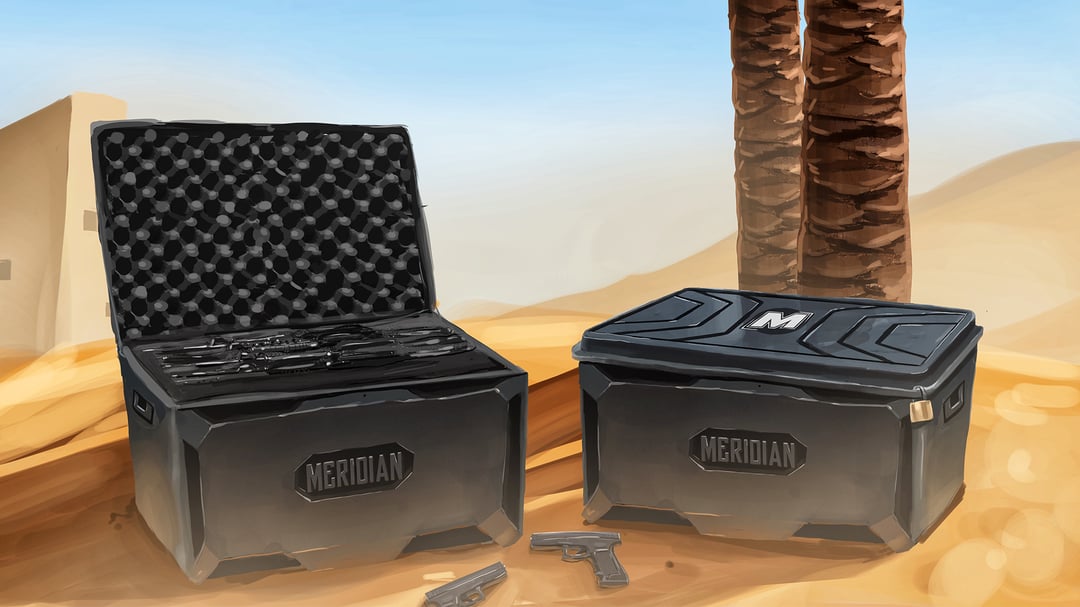 Cases Team-Meridian.com