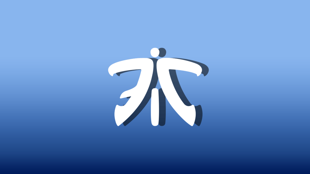 fnatic reflection
