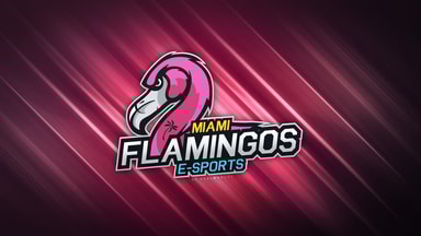 Miami Flamingos Wallpaper - By RealwhOunz