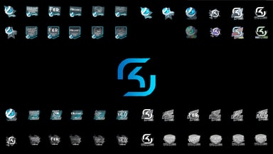 SK(Luminosity) - all sticker by Ronofar