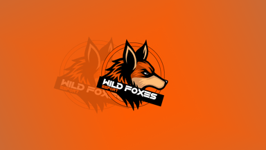 Wild Foxes Esport