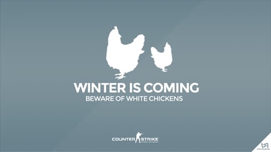 White Chickens