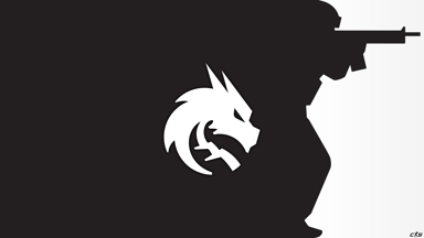CS2 - Spirit