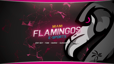 Miami Flamingos