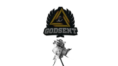 Godsent Rose