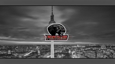 PANTHERS