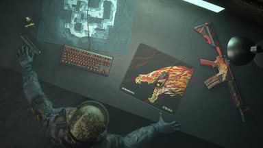 cs:go M4A4 Howl !