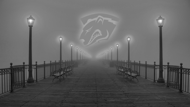 VP Bridge