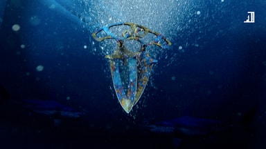 Shadow Daggers | Case Hardened