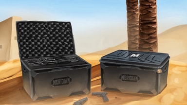 Cases Team-Meridian.com
