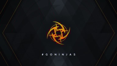 Ninjas in Pyjamas