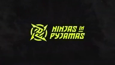 ninjas in pyjamas new logo