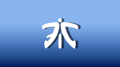fnatic reflection